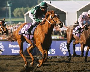 Ravens Pass Art Print One - Breeder's Cup Classic Winner