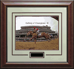 Rich Strike Framed Photo - Fisheye