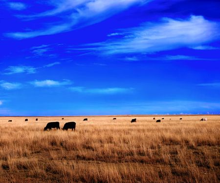 Richard Reynolds - High Plains - Landscape Print