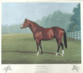 Richard Stone Reeves - Northern Dancer UNAVAILABLE