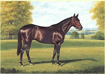 Richard Stone Reeves - Seattle Slew - Signed & Numbered Print