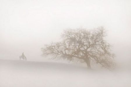 Robert Dawson - Lonely Days - Western Print - Canvas Options