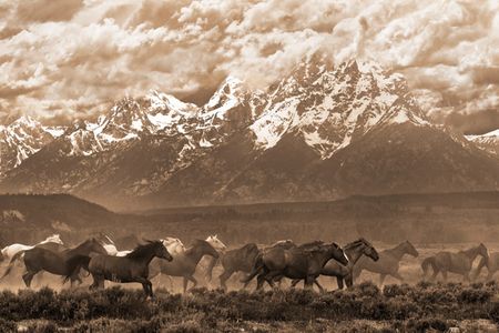 Robert Dawson - Racing The Storm I - Western Print - Canvas Options