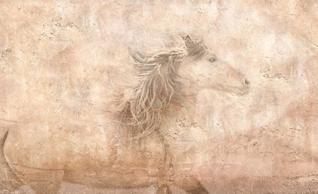 Robert Dawson - The Fresco Horse