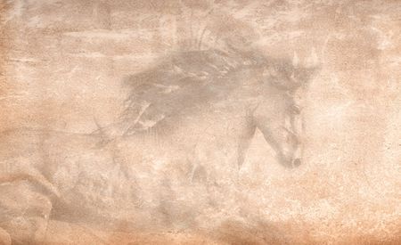 Robert Dawson - The Stallion