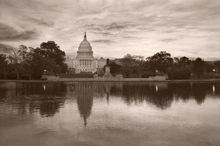 Rod Chase - We the People - Sepia - U.S. Capitol Print