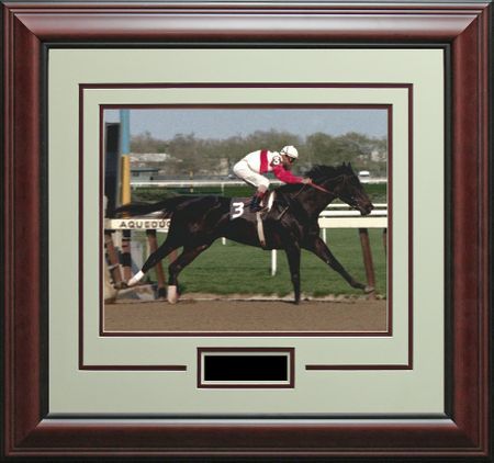 Framed Ruffian Photo - Acorn Stakes at Aqueduct 1975