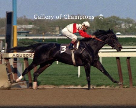 Ruffian In the 1975 Acorn Stakes