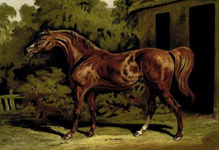 Samuel Sidney - Eclipse, 1900 - Horse Print