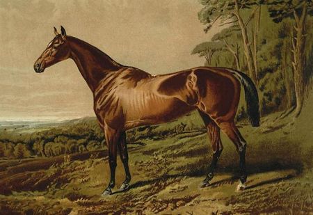 Samuel Sidney - Fair Nell, 1900 - Horse Print