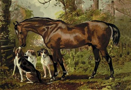 Samuel Sidney - Freemason, 1900 - Horse Print