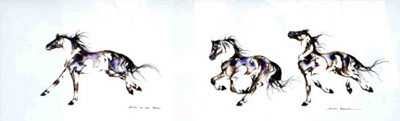 Sarah Richards - Drums On The Mesa - Horse Print