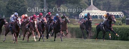 Saratoga Turf Course - Five Across The Track - Panoramic