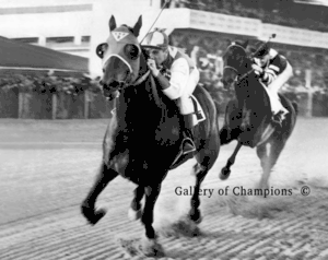 Seabiscuit Pictures - Seabiscuit Art Prints