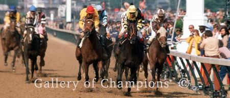 Seattle Slew Winning The 1977 Kentucky Derby - Panoramic