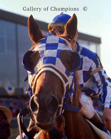 Secretariat Blinkers Close-Up - Framed & Unframed Photo