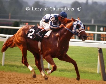 Secretariat In The Belmont Stakes Stretch, 1973 - Framed & Unframed