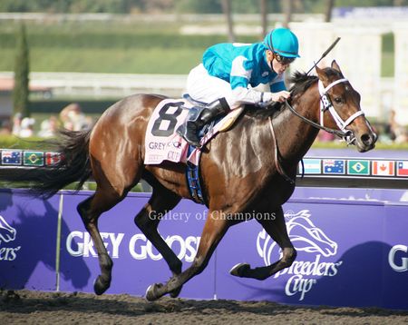 She Be Wild - 2009 Breeder's Cup Winning Horse Photo