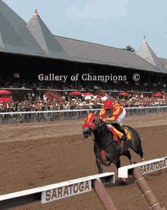 Skip Away in Saratoga Workout
