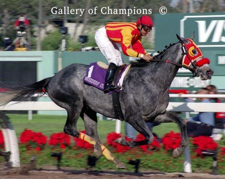 Skip Away Winning the 1997 Breeder's Cup Classic - Art Print