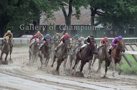 Sloshing For Home -- Saratoga Race Course