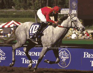 Stardom Bound Art Print - 2008 Breeder's Cup Winner