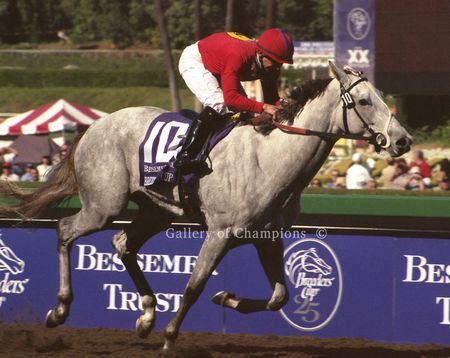 Stardom Bound Art Print - 2008 Breeder's Cup Winner