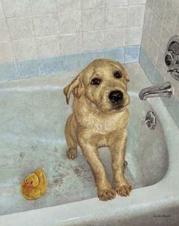 Sueellen Ross - Bathtime Blues - Yellow Lab in Tub Print