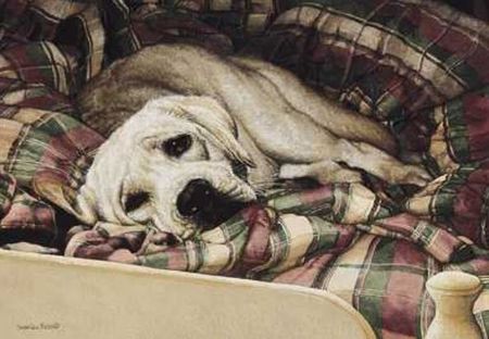 Sueellen Ross - Bed Warmer - White Lab in Bed on Blanket Print