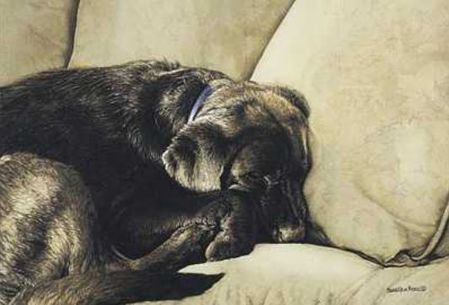 Sueellen Ross - Dog Nap - Black Lab Puppy on a White Couch