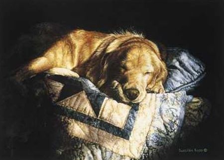 Sueellen Ross - Snooze - Hand Signed Golden Retriever Print