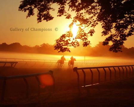 Sunrise 4 - Saratoga Race Course