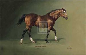 Susan Crawford - Northern Dancer SOLD OUT
