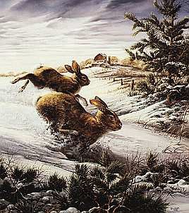 Terry Redlin - Hightailing - Signed & Numbered Print UNAVAILABLE
