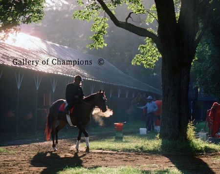 The Journey Begins -- Saratoga Race Course