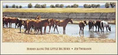 Thomason - Horses Along The Little Big Horn UNAVAILABLE