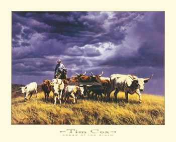 Tim Cox - Ahead of the Storm - UNAVAILABLE