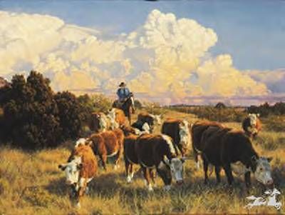 Tim Cox - At His Own Pace - Limited Edition Canvas
