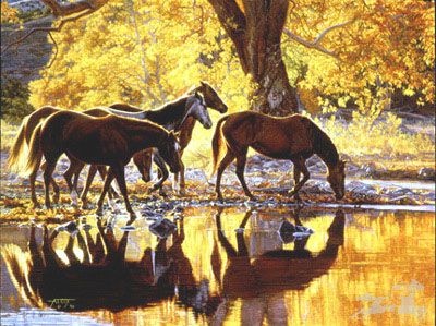Tim Cox - Autumns Amber Glow - Signed & Numbered Print