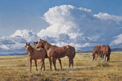 Tim Cox - Summer Breezes - Limited Edition Print
