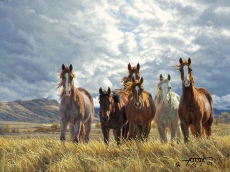 Tim Cox - Whassup - Signed & Numbered Horse Print