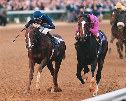 Tiznow Art Print - 2000 Breeders Cup Winning Horse - Head On