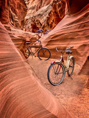 Todd Van Fleet - Owl Canyon Trio - Bicycle Giclee