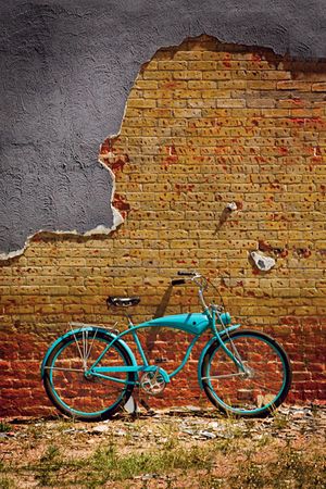 Todd Van Fleet - Schwinn Bricks - Bicycle Giclee