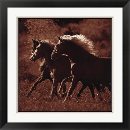 Tony Stromberg - Triple Crown - Framed Horse Print UNAVAILABLE