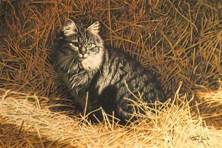 Tucker Smith - Barn Cat - Limited Edition Print