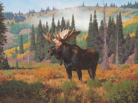 Tucker Smith - Morning at Ditch Creek - Limited Edition Moose Print
