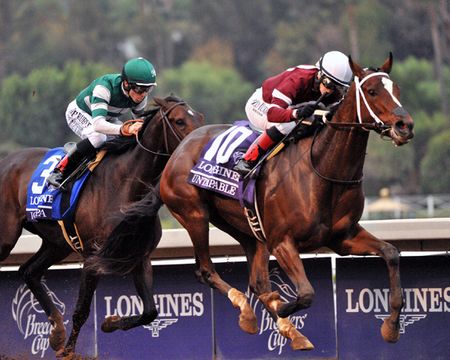 Untapable Wins 2014 Breeders Cup Distaff - Framed & Unframed Photos