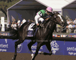 Ventura Art Print - Breeder's Cup Winning Horse