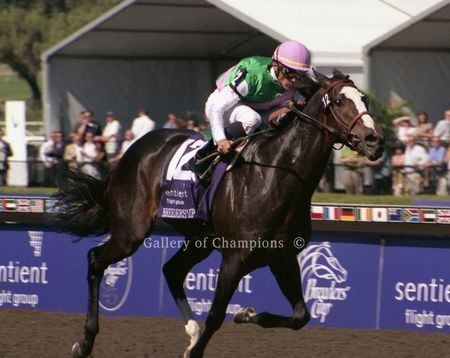 Ventura Art Print - Breeder's Cup Winning Horse
